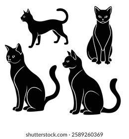 Black cat set with white background