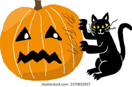 Black cat sharpens his claws with a Halloween pumpkin