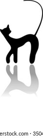 Black cat silhouette