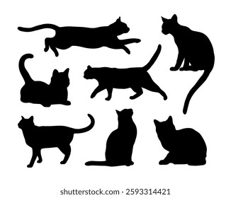 Black Cat Silhouette Abstract Set in different poses. Sitting, standing, running etc. Icon, Logo vector illustration.