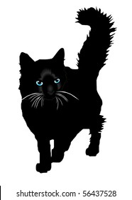 Black cat a silhouette with colour eyes on a white background vector eps10