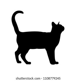 Black cat silhouette. Elegant cat side view with turn around head.