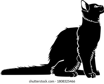 Black cat silhouette. Elegant cat sitting side view with turn around head.