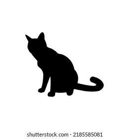 5,521 Cat turned Images, Stock Photos & Vectors | Shutterstock