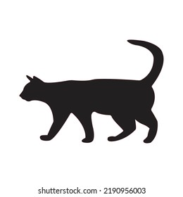 5,521 Cat turned Images, Stock Photos & Vectors | Shutterstock