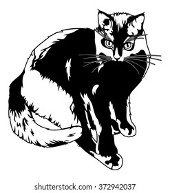Black cat silhouette isolated on a white background