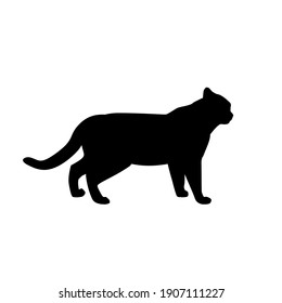Black Cat Silhouette on White Background. Icon Vector Illustration. Concept for  Logo, Print, Sticker.