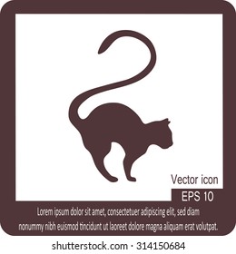 Black cat silhouette on a white background