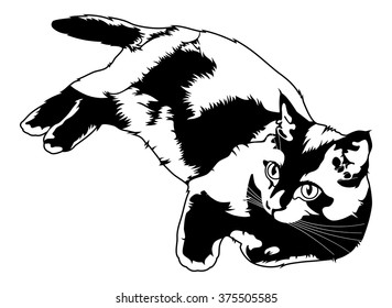 Black cat silhouette on a white background