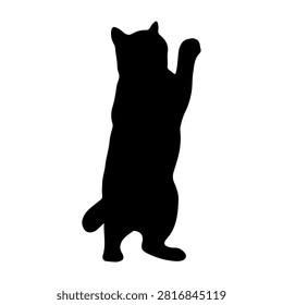 Black cat silhouette standing upright on hind legs, with one paw raised, isolated on white background, emphasizing feline curiosity and agility.