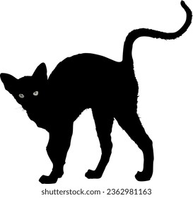 Black Cat Silhouette vector Art