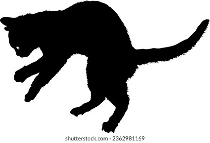 Black Cat Silhouette vector Art