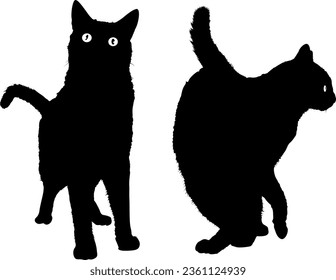 Black Cat Silhouette vector illustration
