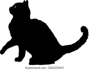 Black Cat Silhouette vector illustration