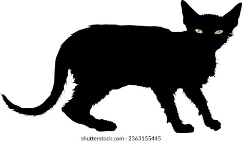 Black Cat Silhouette vector illustration