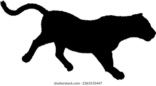 Black Cat Silhouette vector illustration