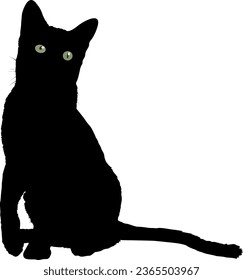 Black Cat Silhouette vector illustration