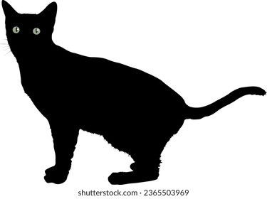 Black Cat Silhouette vector illustration