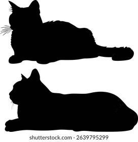  Black cat silhouette vector illustration of a wild feline mammal