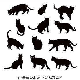 Black Cat silhouette vector set  isolated on white