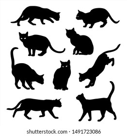 Black Cat silhouette vector set  isolated on white