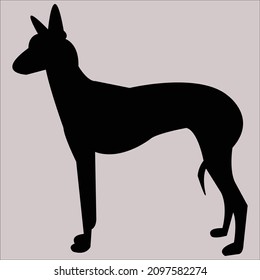  black cat silhouette vector stock