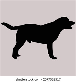  black cat silhouette vector stock