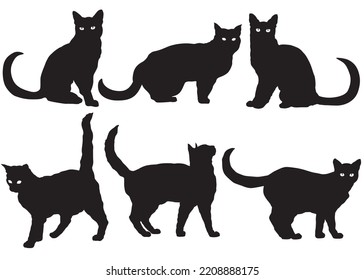 Black cat silhouettes for halloween