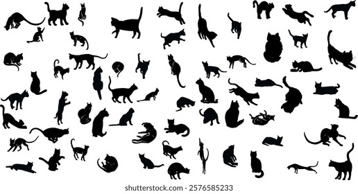 Black cat silhouettes in various poses, isolated on white background