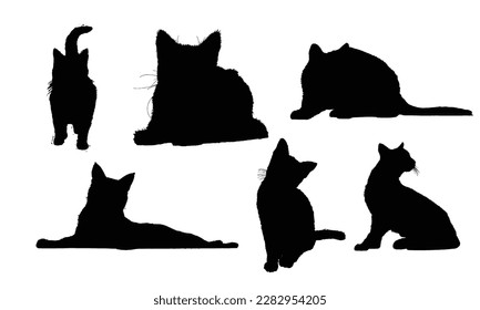 black cat silhouettes with the word cat on the bottom with white color background