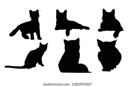 black cat silhouettes with the word cat on the bottom with white color background