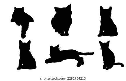 black cat silhouettes with the word cat on the bottom with white color background