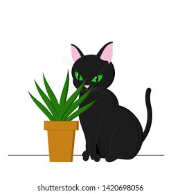 A black cat sits behind a flower in a pot.