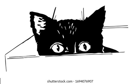 Black cat sits in a box. Vector. Monochrome image of a black cat in a box