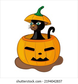 A black cat sits in a pumpkin. Halloween card. Vector illustration on white background.