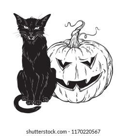 Black cat sitting with halloween pumpkin isolated over white background vector illustration. Witches familiar spirit animal, gothic style card or poster design