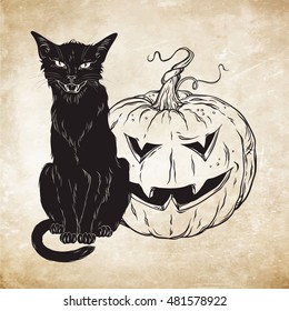 Black cat sitting with halloween pumpkin over old grunge paper background vector illustration. Wiccan card design. Witches familiar spirit animal 