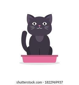 Black Cat Sitting In Litter Box, Isolated On White. Vector Illustration.