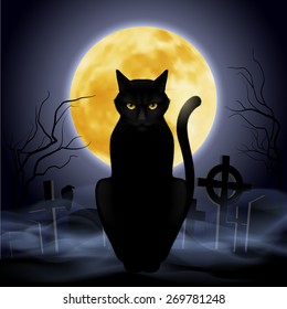 Black cat sitting on a background of the full moon in the cemetery