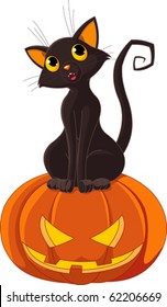 Black  cat sitting on Halloween pumpkin