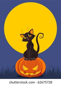 Black  cat sitting on Halloween pumpkin. Greeting card/invitation