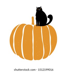 Black cat sitting on huge orange pumpkin. Vintage texture, vector illustration with pet.