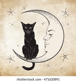 Black cat sitting the moon  Wiccan familiar spirit vector illustration