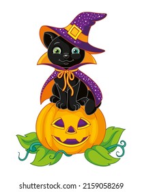 Black cat sitting on pumpkin for Halloween. Cartoon vector illustration