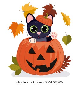 Black cat sitting in an orange pumpkin. Cartoon halloween card, little black kitten with big eyes. Vector illustration.