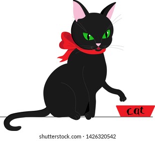 Black cat sitting over a red bowl while waiting for food. The cat is asking for favorite food.