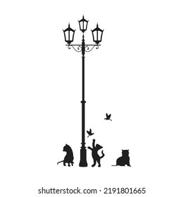 Black cat sitting and playing with bird under street lantern. Vector illustration