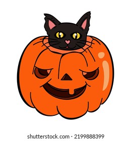Black cat sitting in a pumpkin. Happy halloween. Vector illustration on white background. 