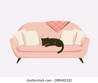 Black cat sleeping on a pink cozy sofa with pillows