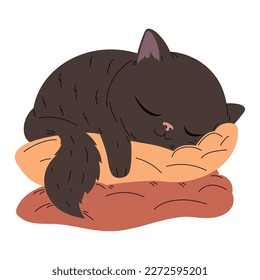 black cat sleeping in pillows character